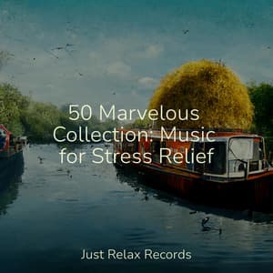 50 Marvelous Collection: Music for Stress Relief - MÚSICA PARA NIÑOS