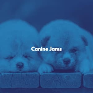 Canine Jams - Dinner Party Jazz Radio