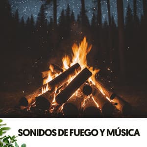 Sonidos de Fuego y Música: Danza bajo las estrellas - Fireplace Sounds