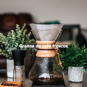 Granos de café frescos - Jazz Cafe Autumn