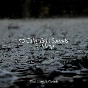 50 Calm Rain Sounds for Sleep - Musica Relajante Specialistas & Musica Relajante
