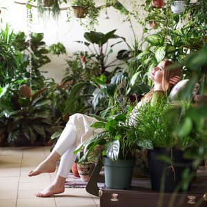 Piano Rain Relaxation: Serenity in Every Note - Gentle Piano Collective