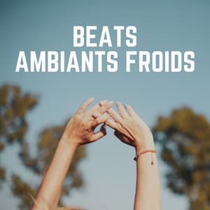 Beats Ambiants Froids - Le Sommeil