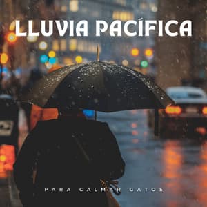 Lluvia Pacífica Para Calmar Gatos - Sonidos de lluvia y sonidos de la naturaleza