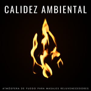 Calidez Ambiental: Atmósfera De Fuego Para Masajes Rejuvenecedores - Masaje de 1 hora