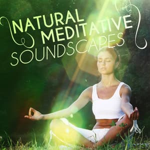 Natural Meditative Soundscapes - Soundscapes