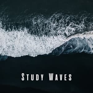 Study Waves: Chill and Ocean Sounds for Refreshed Mind - Sea Waves Sounds