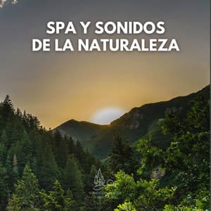 Spa y Sonidos de la Naturaleza - Sonido Del Bosque y Naturaleza