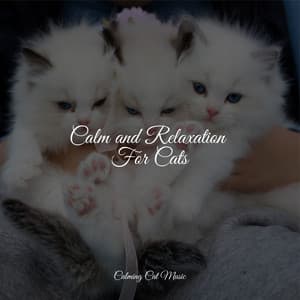 Calm and Relaxation For Cats - Music for Resting Cats