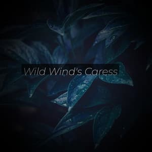 Wild Wind's Caress - Solis Reverie