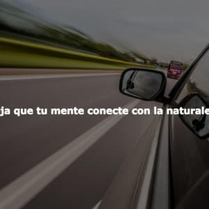 Deja que tu mente conecte con la naturaleza - Hotel Lounge Soundtracks