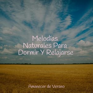 Melodías Naturales Para Dormir Y Relajarse - Rising Higher Meditation