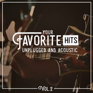 Your Favorite Hits Unplugged and Acoustic, Vol. 2 - Top 40 Hits