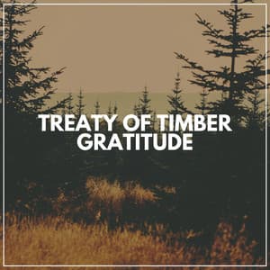 Treaty of Timber Gratitude - Nature's Noise
