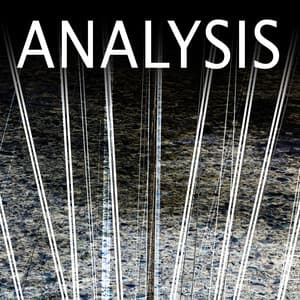 Analysis - Michi Koerner