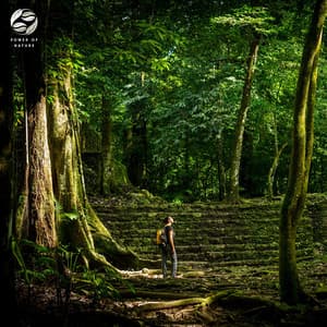 Journey Into The Heart Of The Jungle - Soothing Ambient