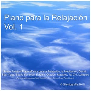 Piano para la Relajación, Vol. 1 - Silentografía