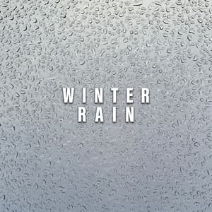 Winter Rain - 24H Rain Sounds