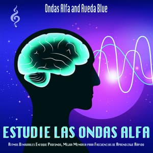 Estudie Las Ondas Alfa: Ritmos Binaurales Enfoque Profundo, Mejor Memoria para Frecuencias de Aprendizaje Rápido - Ondas Alfa