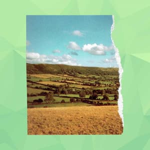 Bgm for Private Acoustics - Deluxe Cafe Music