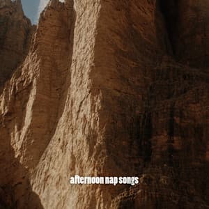 afternoon nap songs - Study Music For Concentration