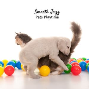Smooth Jazz: Pets Playtime - Jazz Music Lounge