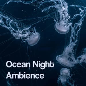 Ocean Night Ambience - Ocean Noises