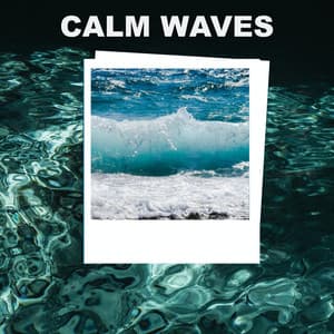 Calm Waves - Ocean Sounds ACE