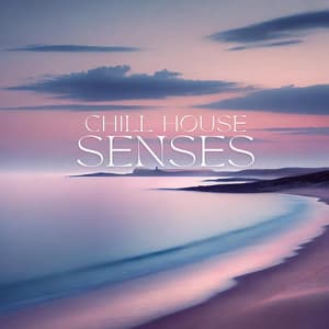 Chill House Senses: Relax Electro Mix 2024 - Deep House Lounge