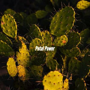 Petal Power - Coffee Shop Lounge