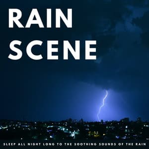 Rain Scene: Sleep All Night Long To The Soothing Sounds Of The Rain - Ultimate Sleep Experience