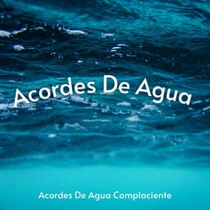 Acordes De Agua Complaciente - Sonidos de la Naturaleza JBE