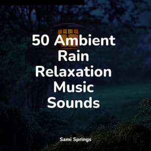 50 Ambient Rain Relaxation Music Sounds - Yoga Rain