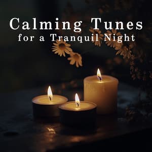 Calming Tunes for a Tranquil Night - Relaxing Piano Crew