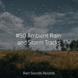 #50 Ambient Rain and Storm Tracks - Sonidos De Truenos y Lluvia