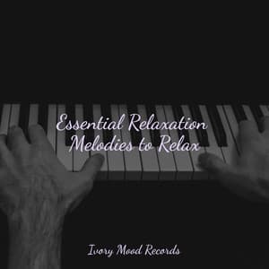 Essential Relaxation Melodies to Relax - Ivory Mood