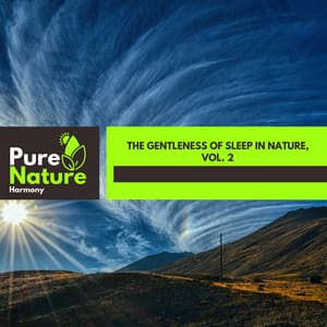 The Gentleness of Sleep in Nature, Vol. 2 - Nature Field Recordings