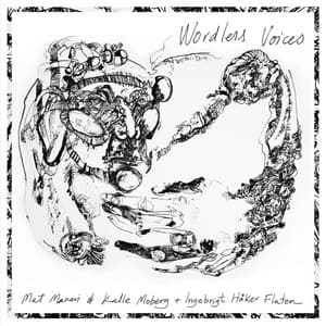 Wordless Voices - Mat Maneri