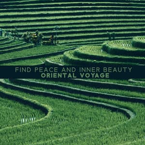 Find Peace and Inner Beauty - Oriental Voyage: Oriental Relaxation, Calmness & Lightness, Zen Experience Meditation - Pure Meditation Collection