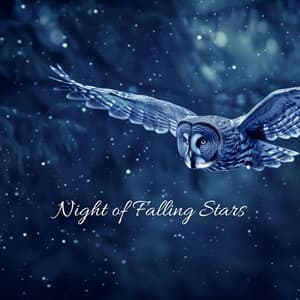 Night of Falling Stars: A Piano Voyage Through Midnight Skies - Aliana Ray