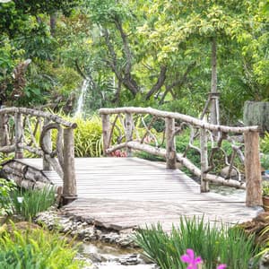 Enchanted Garden: Nature's Flourishing Melodic Oasis - Stereo Outdoor Sampling