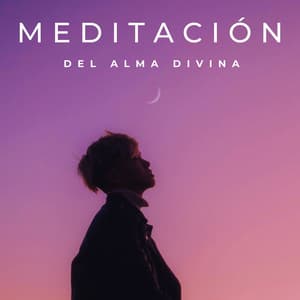 Meditación Del Alma Divina - Reiki definitivo