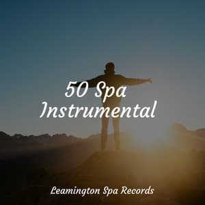 50 Spa Instrumentals - Entspannungsmusik