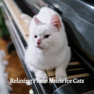 Relaxing Piano Music for Cats - Piano Cat