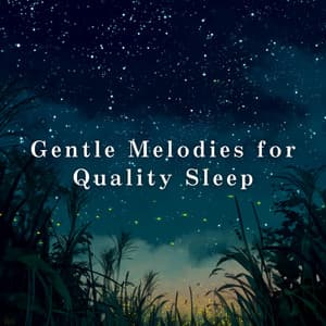 Gentle Melodies for Quality Sleep - Relax α Wave