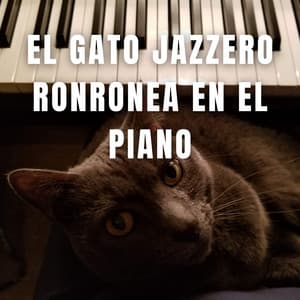El Gato Jazzero Ronronea En El Piano - Increíble fondo de piano de jazz
