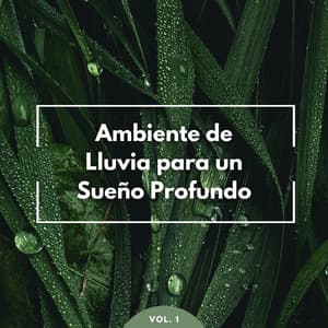 Ambiente De Lluvia Para Un Sueño Profundo Vol. 1 - Sonidos de lluvia para dormir profundo
