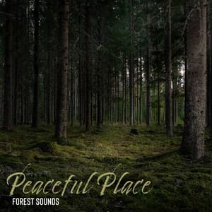 Peaceful Place - Amanda Soho