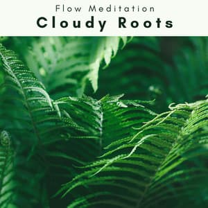2 0 2 3 Cloudy Roots - Flow Meditation
