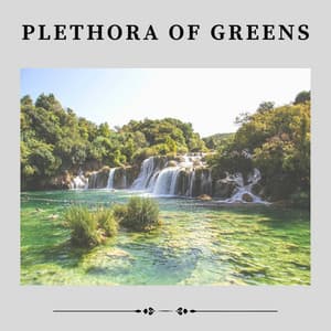 Plethora of Greens - Worldwide Nature Studios
